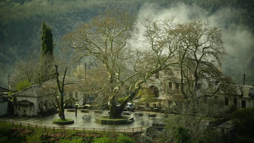 Βίτσα Πετρόκτιστο Αρχοντικό "Ιόλη" Με Θέα Ζαγόρι Villa Exterior photo